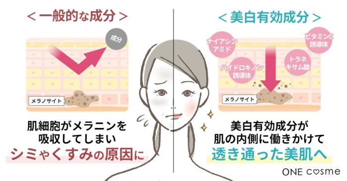 こだわりの成分で目指すシミ1つない透明美肌