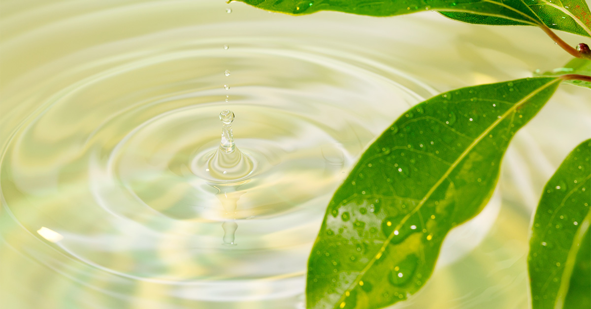 アルガンオイルの注意点はある?正しい使い方やおすすめアイテムで若見えぷるぷる肌に