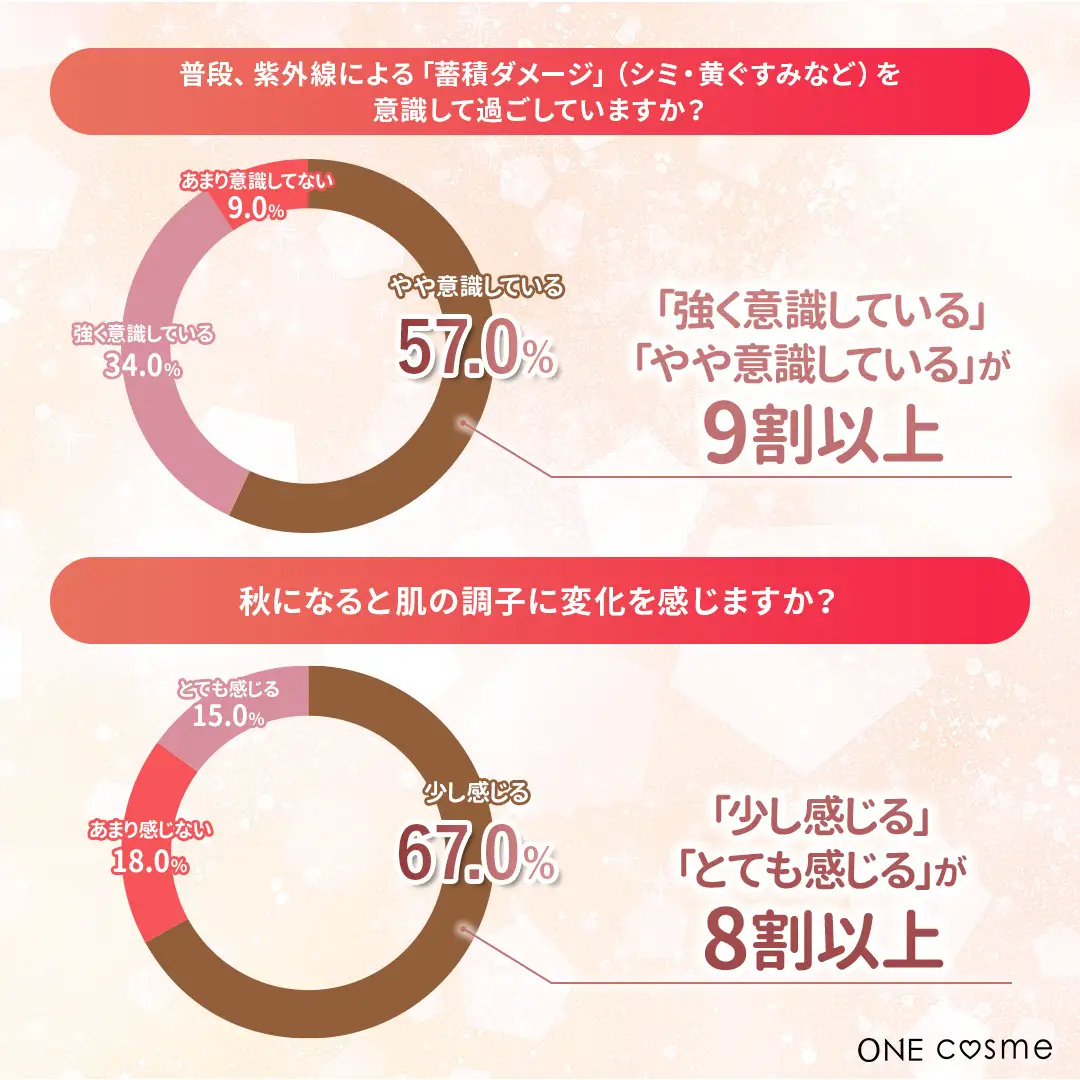蓄積ダメージグラフ