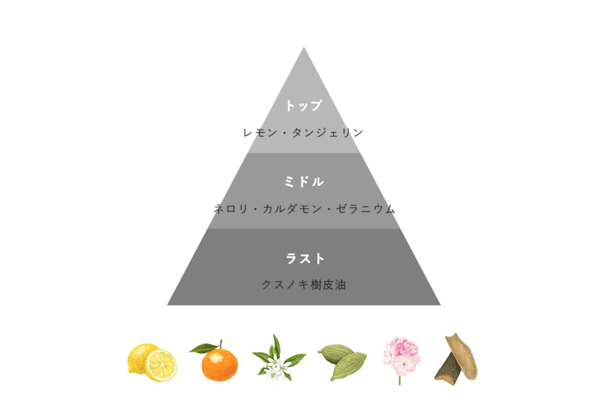 Nオーガニック　Vieシリーズ