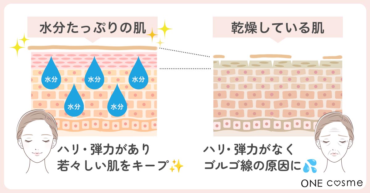 【ゴルゴ線ができる原因②】肌の水分不足は肌のターンオーバーが乱れて老化の原因に。丁寧な保湿でハリのあるツヤ肌へ