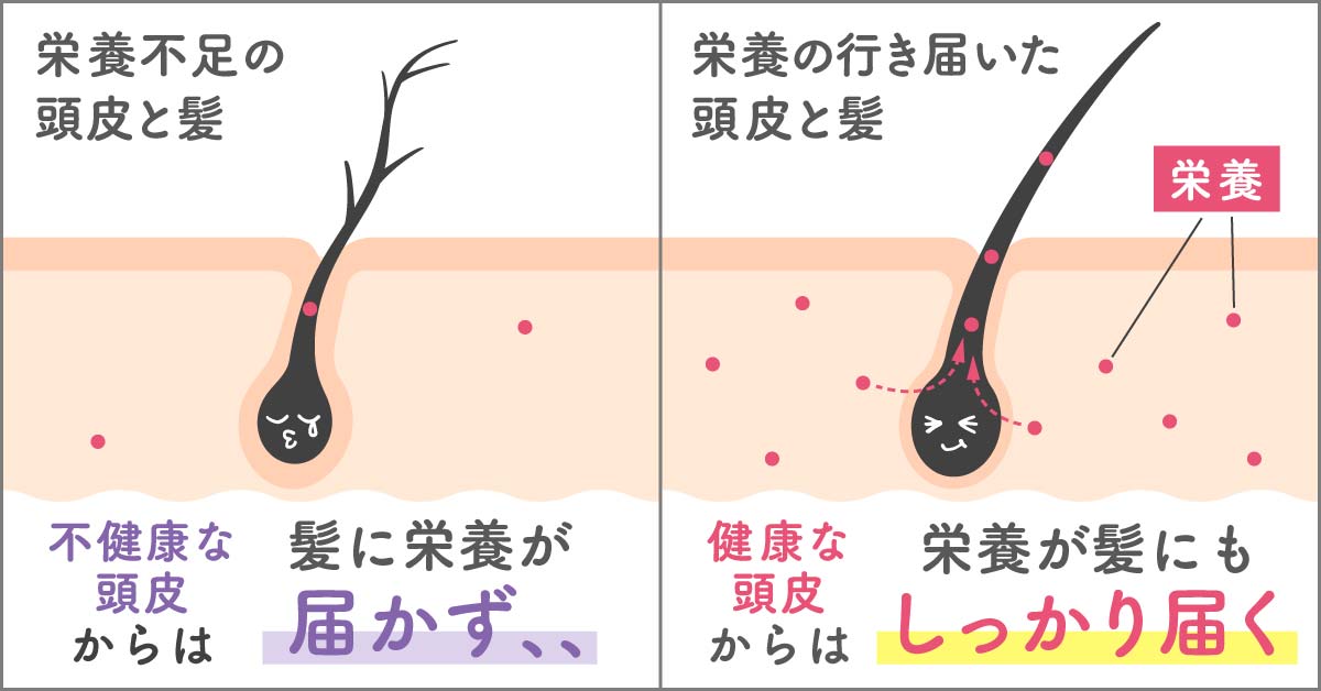 シャンプー使用経過の髪のまとまり