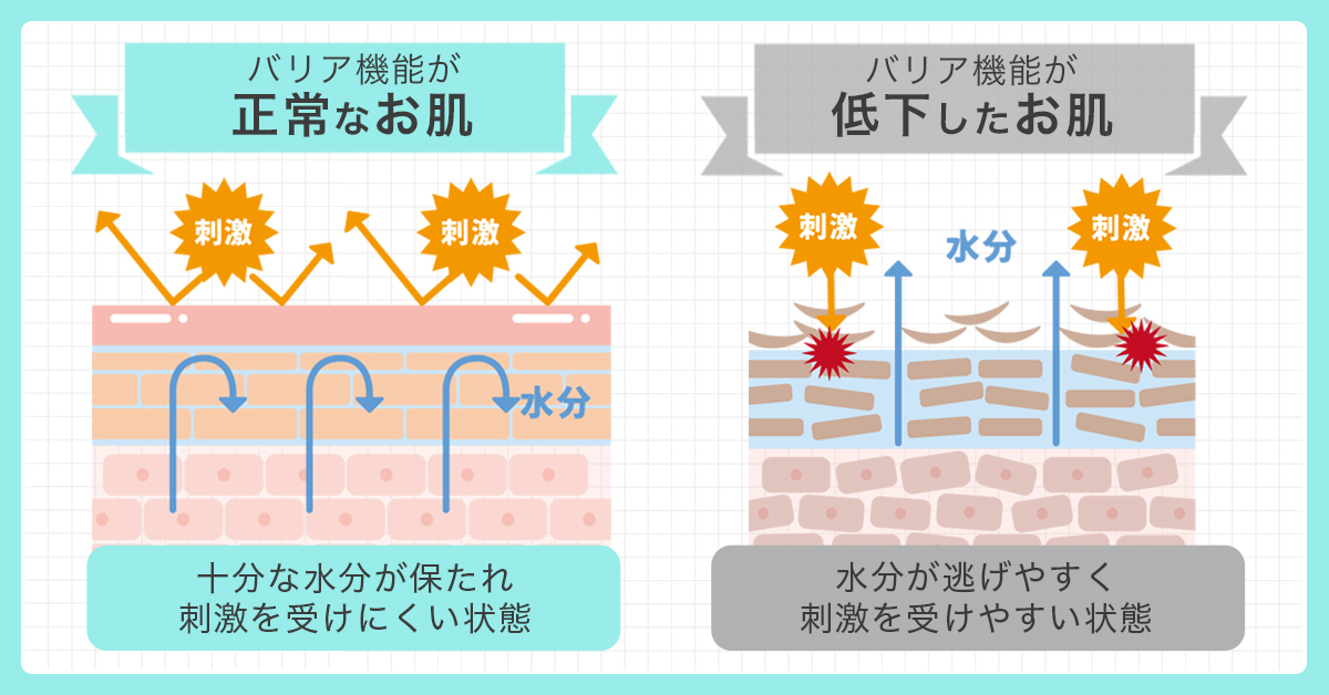 皮膚のバリア機能について